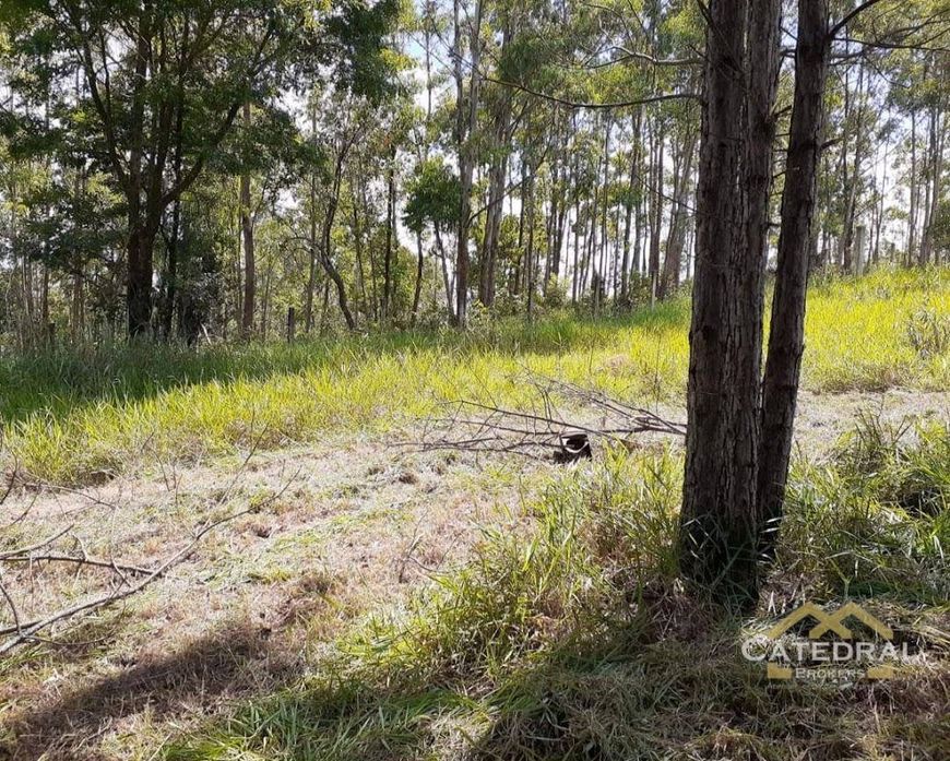 Terreno à venda, 3200 m² por R$ 660.000,00 - Caxambu - Jundiaí/SP