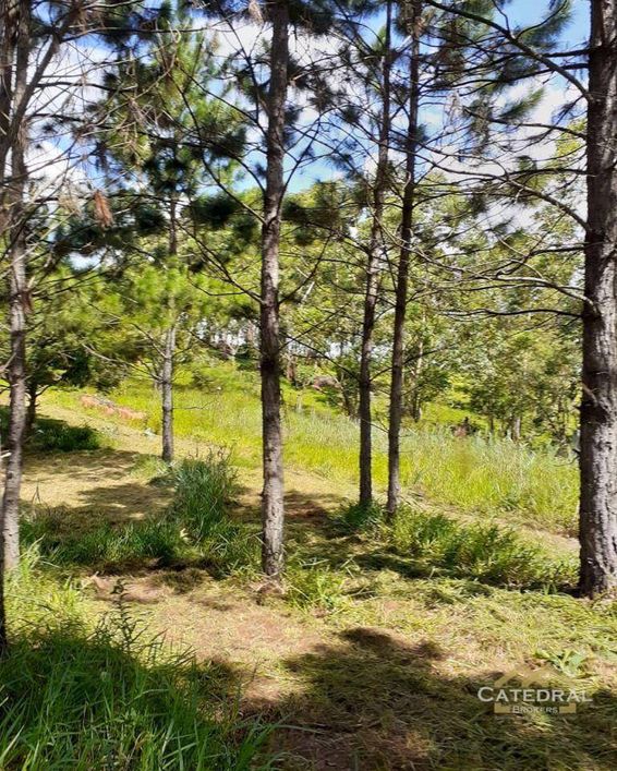 Terreno à venda, 3200 m² por R$ 660.000,00 - Caxambu - Jundiaí/SP
