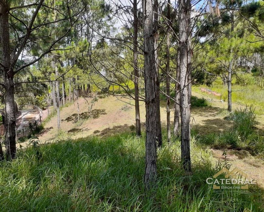 Terreno à venda, 3200 m² por R$ 660.000,00 - Caxambu - Jundiaí/SP
