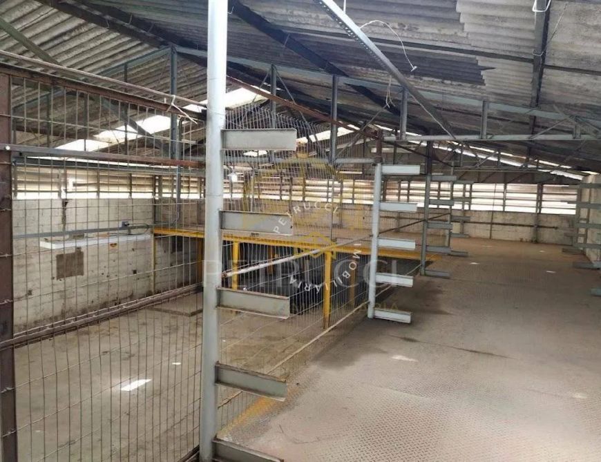 Galpão à venda, 300 m² - Poste - Jundiaí/SP