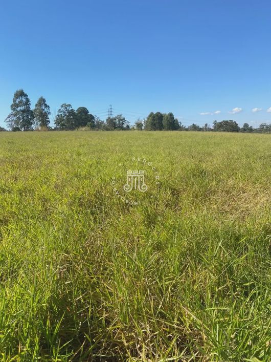 TERRENO OU AREA PARA CONDOMINIO 27.000M²