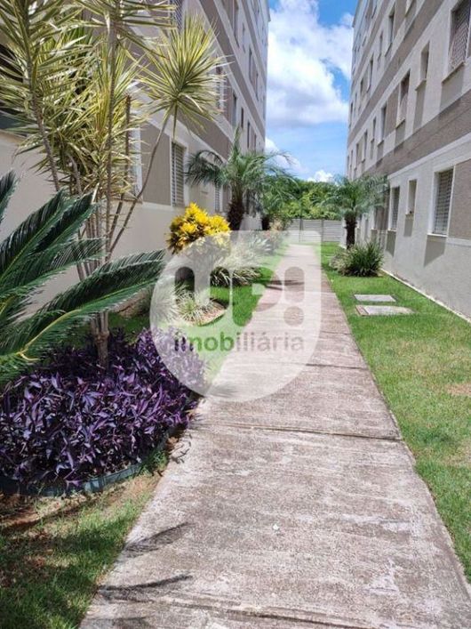 Apartamento Residencial à venda, Nova Pompéia, Piracicaba - AP3593.