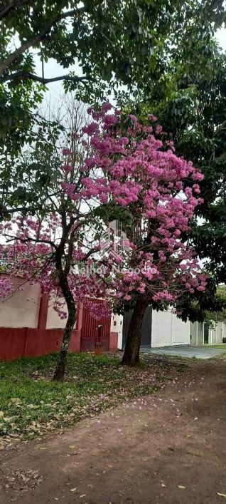 CÓD:RRCA3588 - Casa à venda,Mobiliado no Bairro Ondinhas 700m², 3 dormitórios , Piracicaba, SP