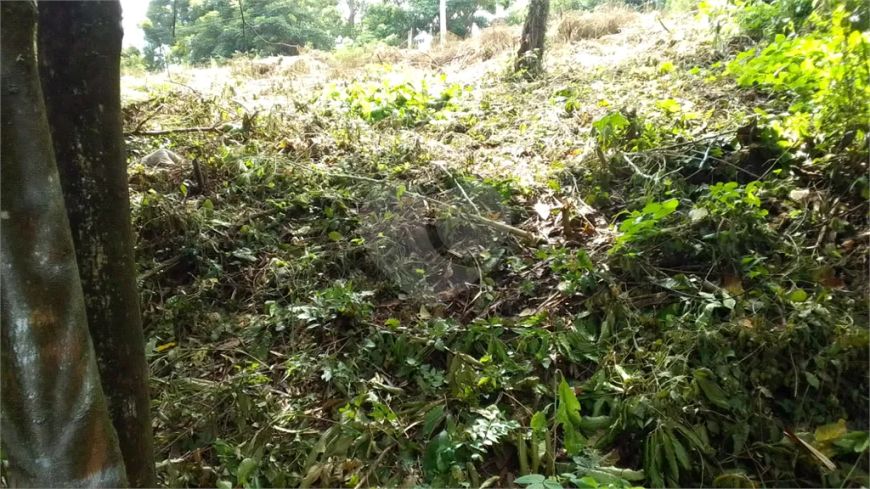 Terreno à venda em Jardim Algodoal - SP