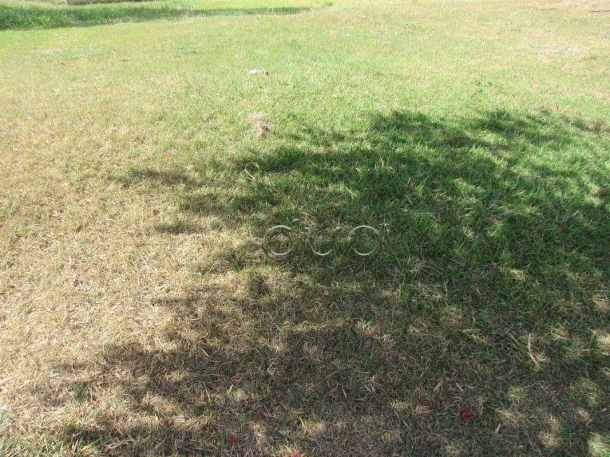 Terreno à venda, 360 m² por R$ 350.000,00 - Loteamento Residencial Reserva Do Engenho - Piracicaba/S