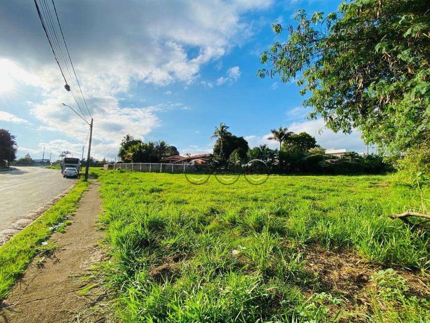 Terreno à venda, 259 m² por R$ 240.000,00 - Nova Pompéia - Piracicaba/SP