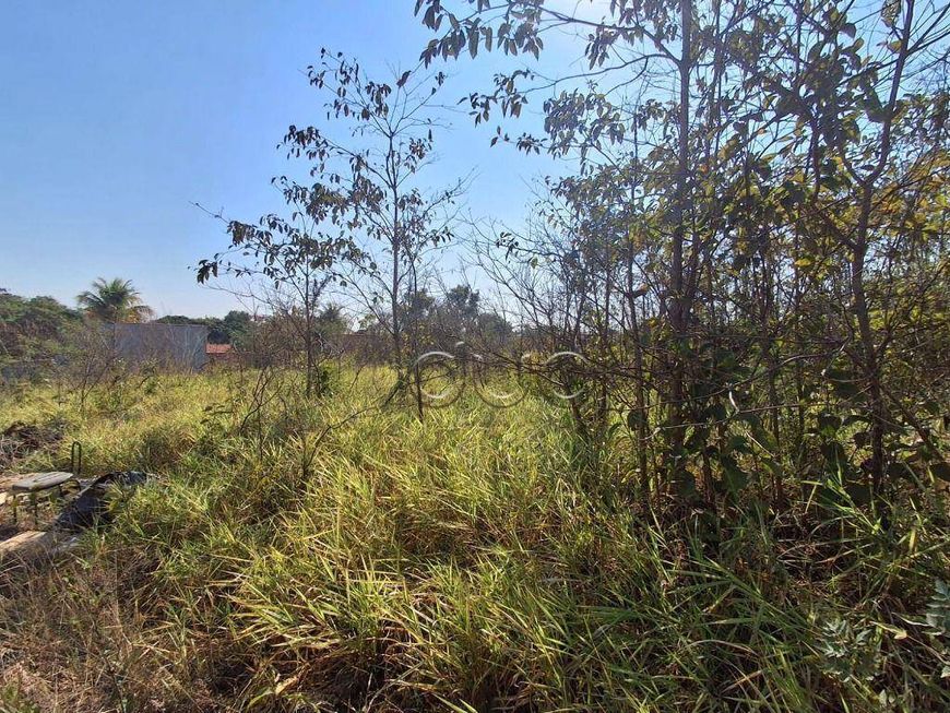 Terreno para Chacara no Bongue