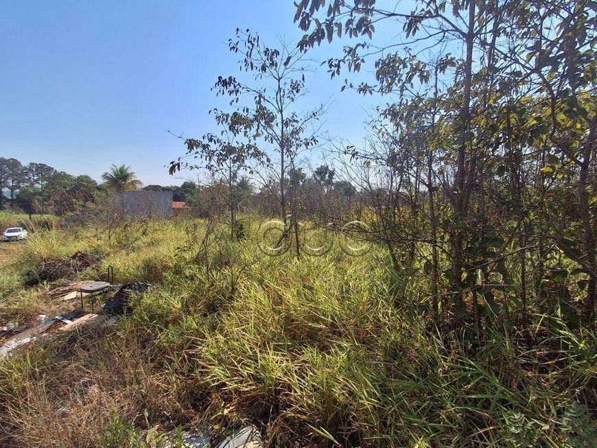 Terreno para Chacara no Bongue