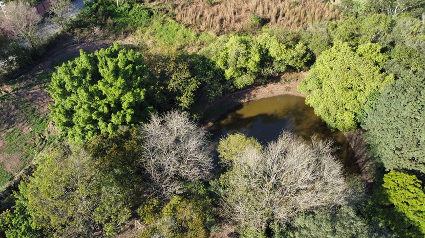 Chacara 4.63 hectares ou 46.383 m² Piracicaba SP