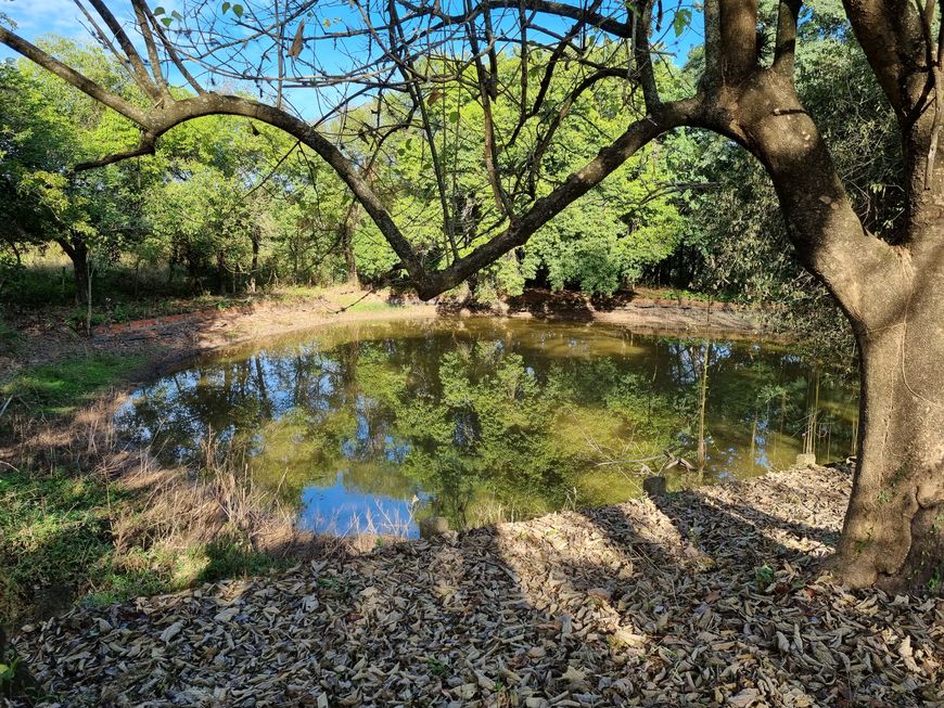 Chacara 4.63 hectares ou 46.383 m² Piracicaba SP