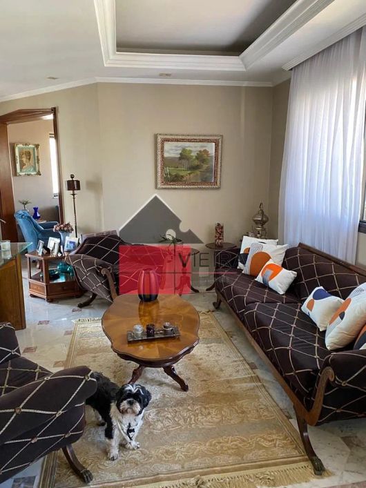 Apartamento com 360 graus de vista para o parque da aclimação , com armários em todos os dormitório