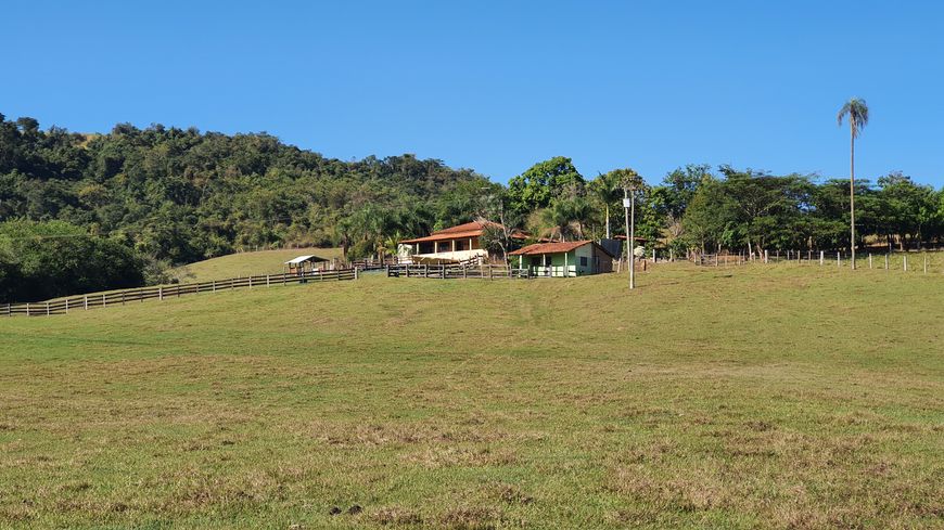 Sitio 15 alqueires para Pecuária - Piracicaba - SP