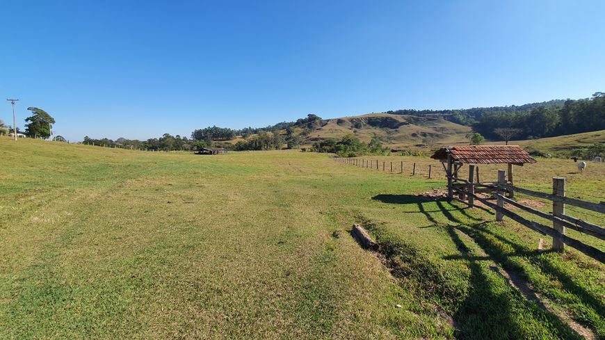 Sitio 15 alqueires para Pecuária - Piracicaba - SP