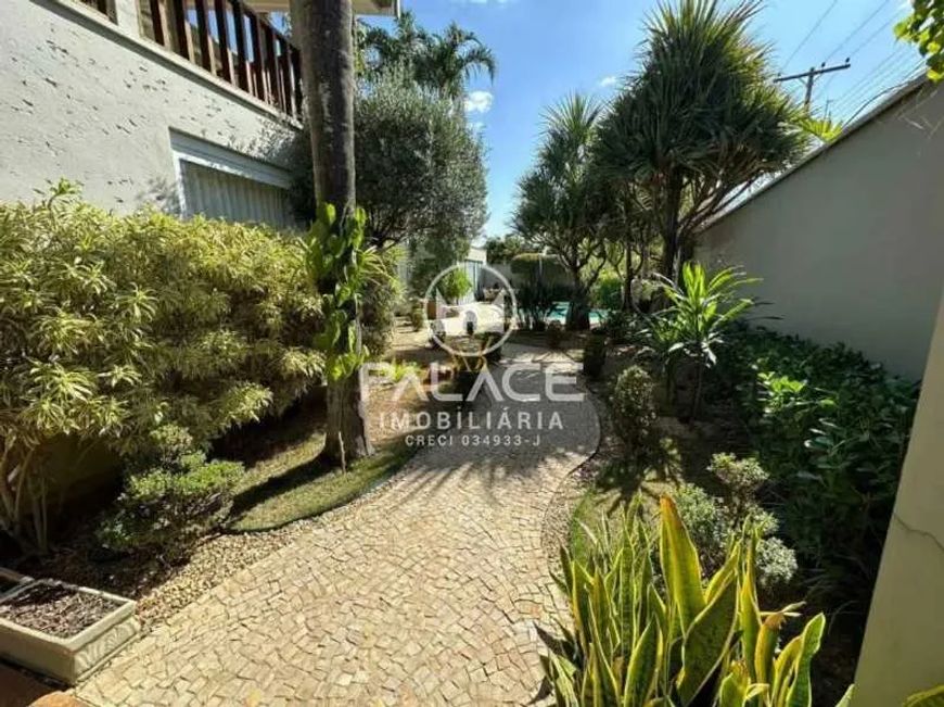 Casa de rua : Térrea / Residencial / Paulista