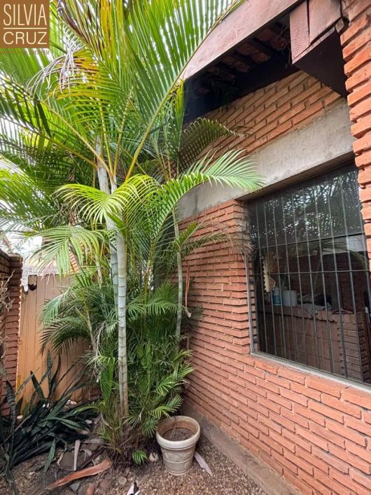 Casa ampla, com projeto arquitetônico que priorizou materiais aparentes, com forte vocação comercial