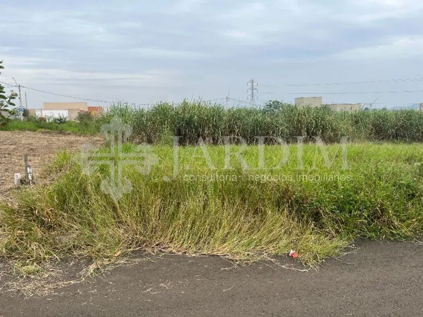 TERRENO PLANO | VALE DO SOL | LOTEAMENTO CONQUISTA