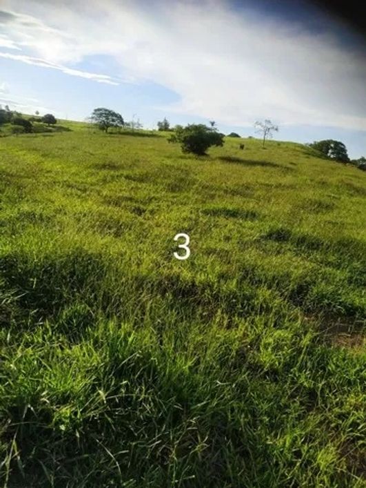 Área à venda, 1 quarto, Salto de Pederneiras - Piracicaba/SP