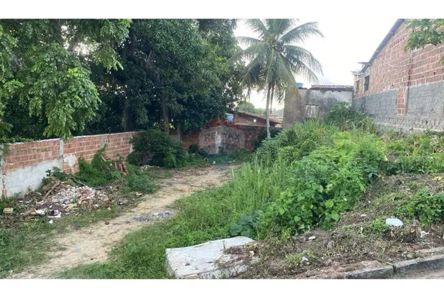 Terreno Promissor em Olinda: 160m² para Seu Sonho