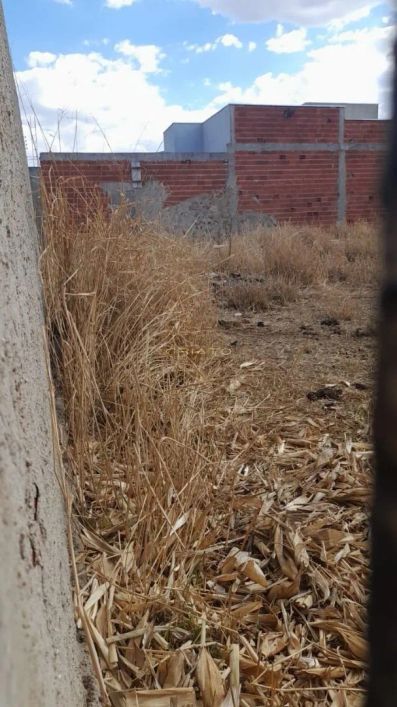 Terreno à venda, 200 m² por R$ 85.000,00 - Residencial Cidade Industrial - Anápo