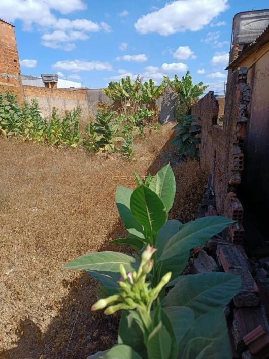 Terreno à venda, 250 m² por R$ 120.000,00 - Jardim Arco Verde - Anápolis/GO