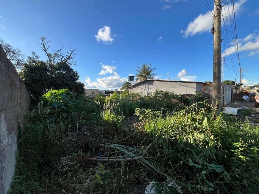 Terreno à venda, 360 m² por R$ 120.000,00 - Residencial Santo Antônio - Anápolis/GO