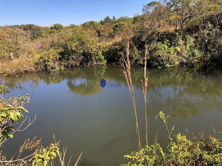 Chácara de 9,67 Hectares à Venda Próximo a Nova Pecuária de Anápolis
