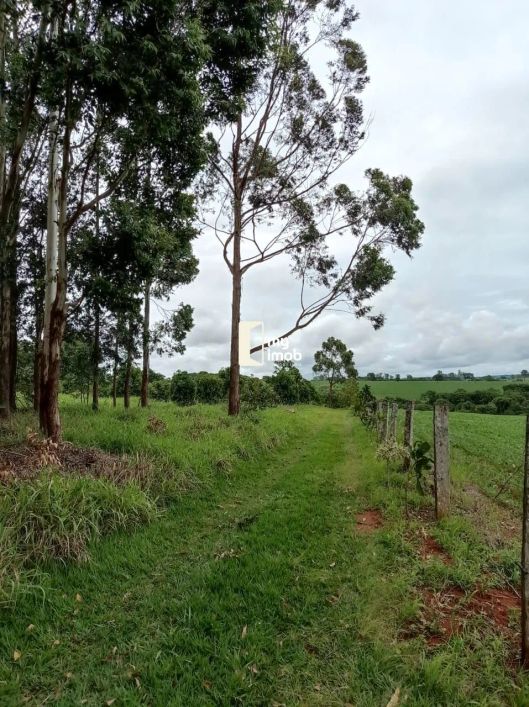 Chácara 1 Alqueire Próxima a Antiga Catarinense Anápolis
