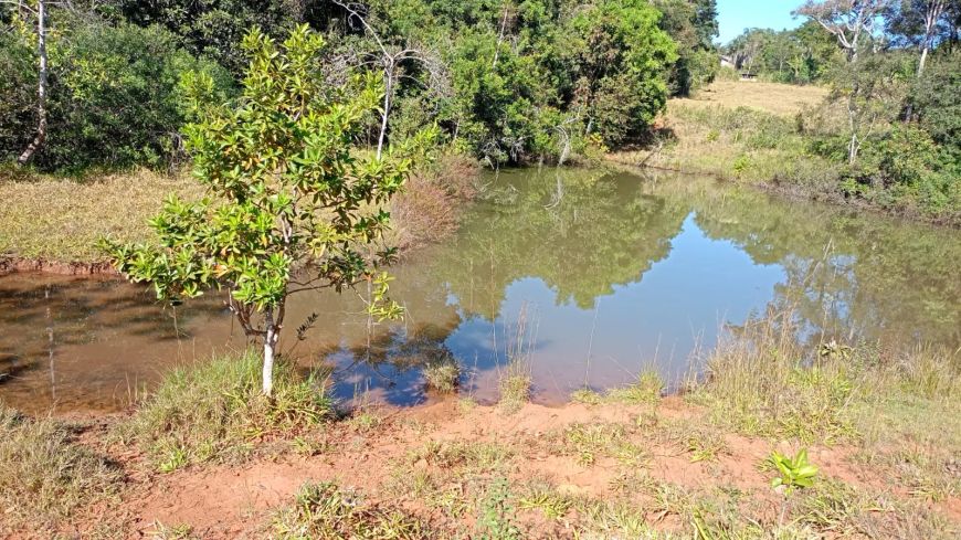 Chacara em Anapolis Chácara à Venda, 67920 por R$ 1.500.000 AD22598