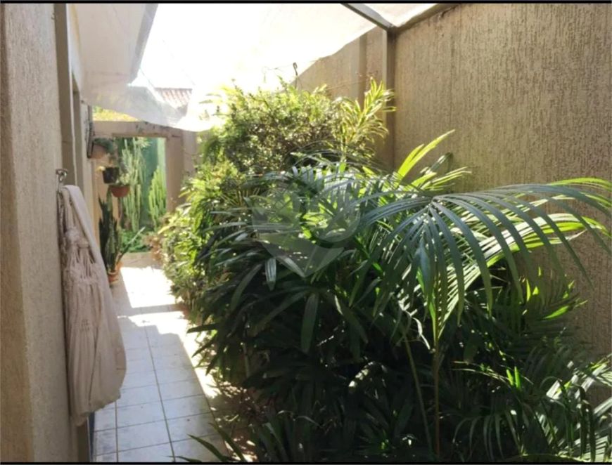 Casa com 3 quartos à venda em Vila Souto - SP