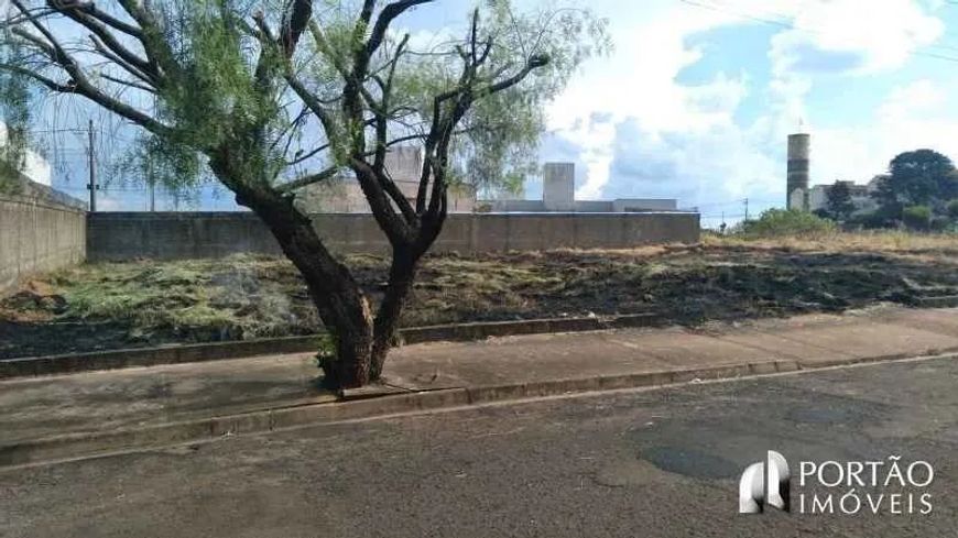 Lote / Terreno em Quinta Ranieri, (Bauru) - SP
