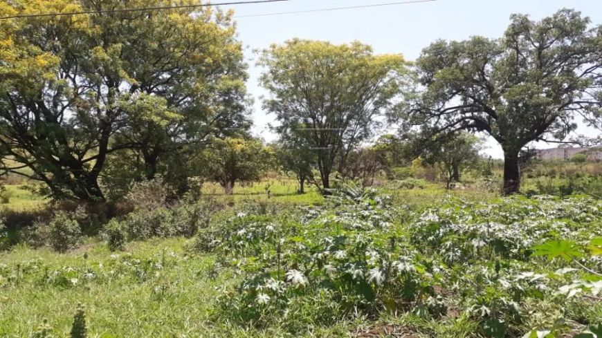 Terreno - Residencial Parque Colina Verde