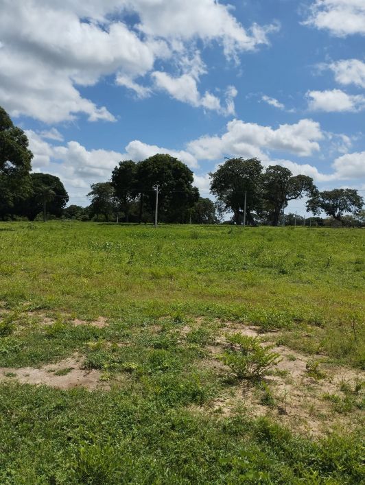 Loteamento Vila Caucaia pronto para construir a sua casa