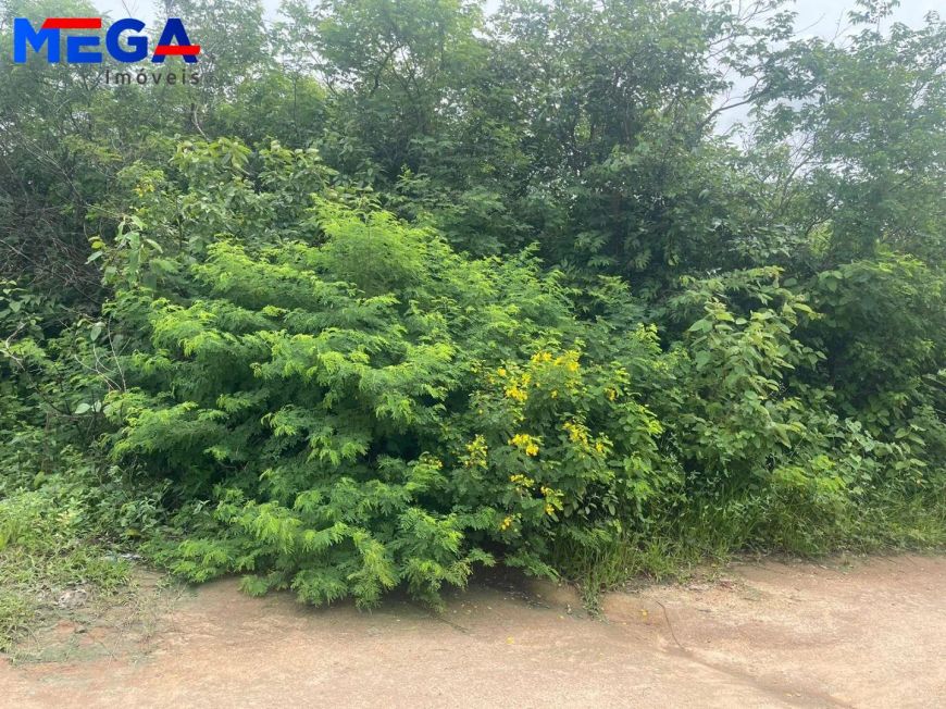 Terreno 1466 m² em Caucaia/CE