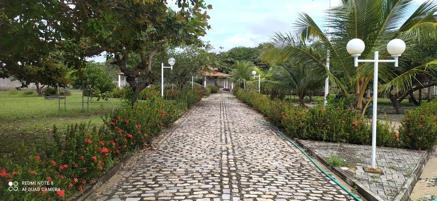 Fazenda/Sítio/Chácara para venda tem 5000 metros quadrados com 4 quartos