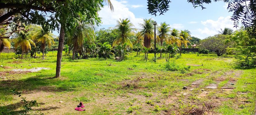 SITIO A VENDA NO BAIRRO MESTRE ANTONIO 8.000M² CAUCAIA CE