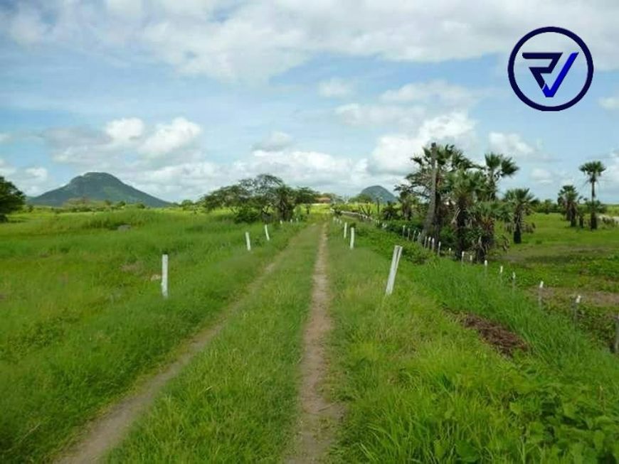 FAZENDA 681,04 HA CAUCAIA