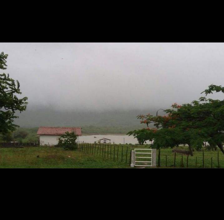 Fazenda na Caucaia