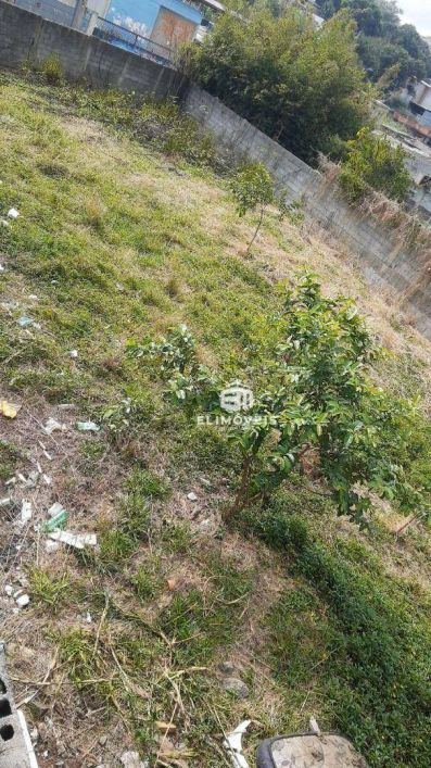 Terreno à venda, 750 m² por R$ 470.000,00 - Chácara Cuiabá - Itaquaquecetuba/SP