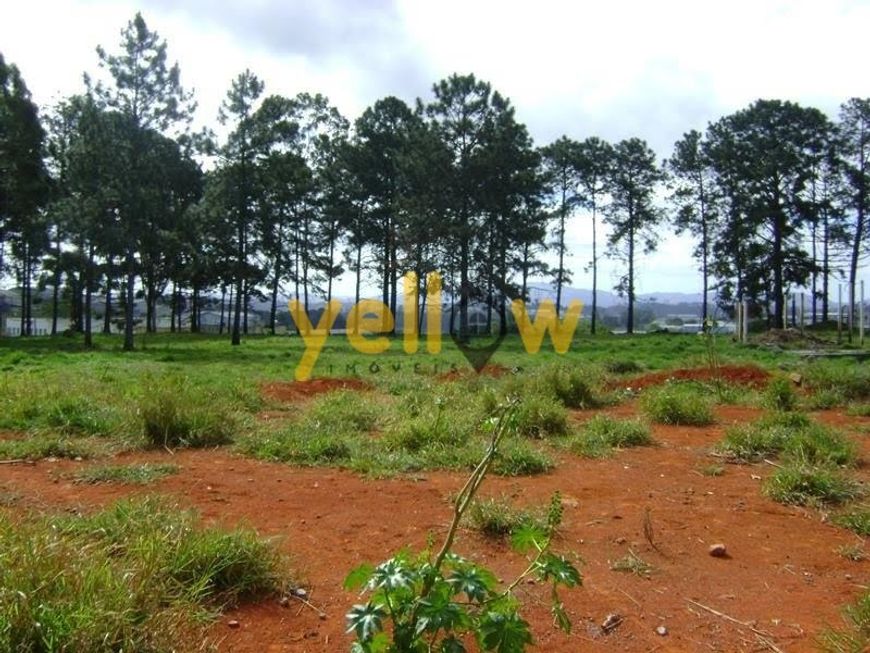 Área Industrial em Quinta da boa vista - Itaquaquecetuba