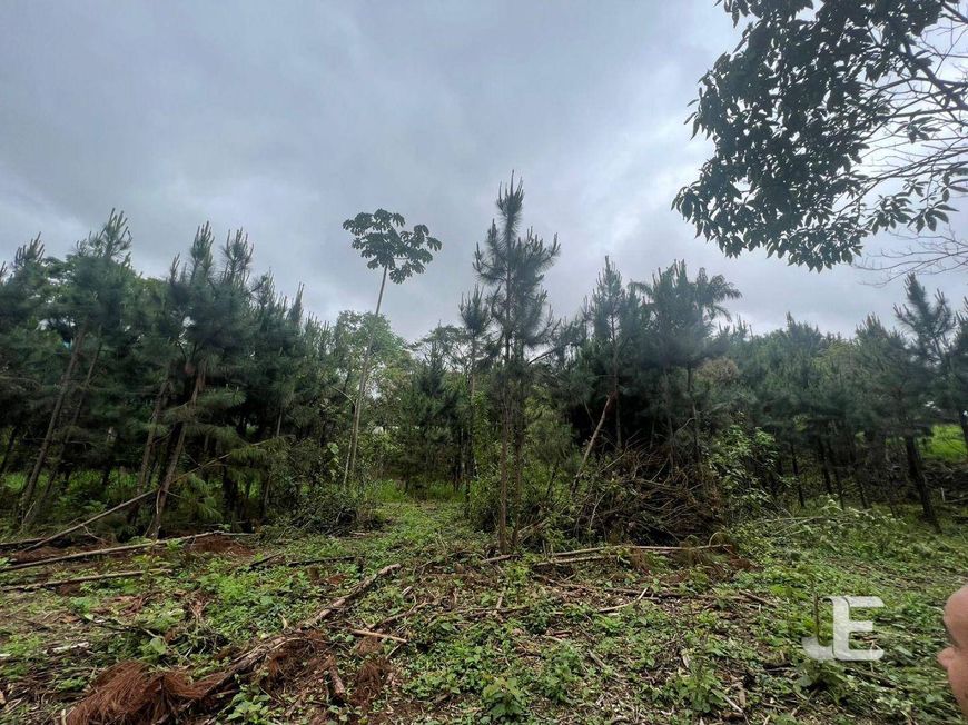 Terreno à venda, 26000 m² por R$ 12.000.000,00 - Parque Recanto Mônica - Itaquaquecetuba/SP