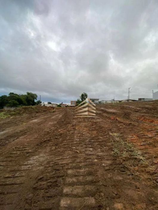 Terreno à venda, 12000 m² por R$ 4.800.000,00 - Chácara Águas da Pedra - Itaquaquecetuba/SP