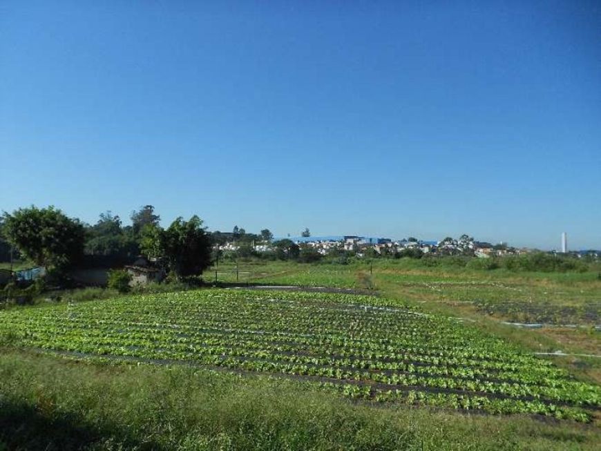 AREA RURAL em ITAQUAQUECETUBA - SP, PARQUE RECANTO MONICA