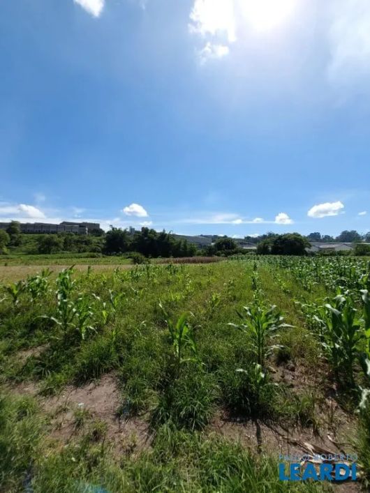 AREA - JARDIM MARAGOJIPE - SP