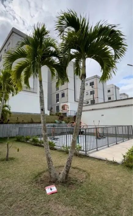 VENDO APARTAMENTO 02 QUARTOS 53M2 NO INDIANOPOLIS