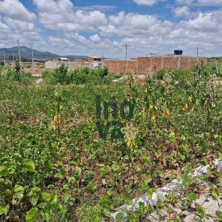 Terreno à venda, 160 m² por R$ 62.000,00 - Alto do Moura - Caruaru/PE
