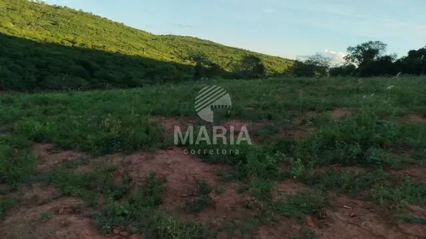 Fazenda com 76.6 Hectares à venda em Caruaru/PE!
