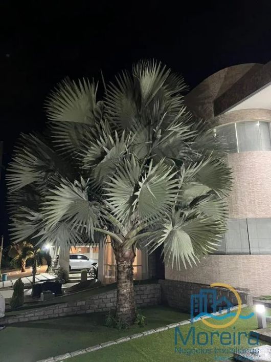 Condomínio Residencial Quintas da Colina 1 - Casa quadra L lote 1