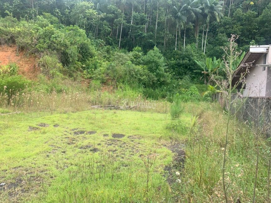 Terreno com 440 m² no bairro Fortaleza em Blumenau/SC
