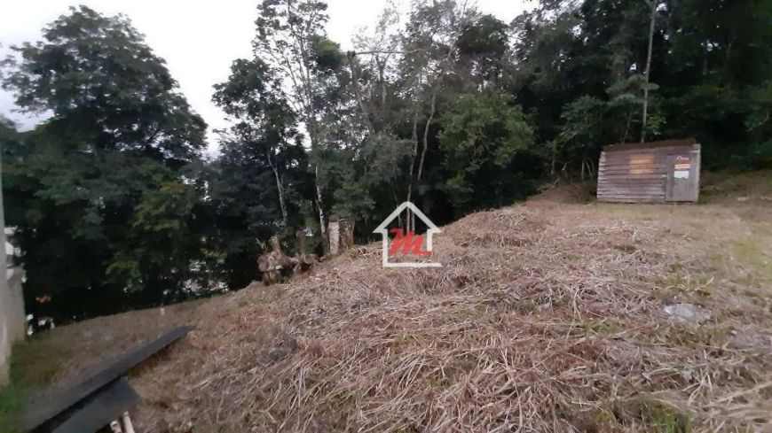 Terreno à venda, 464 m² por R$ 239.000,00 - Água Verde - Blumenau/SC