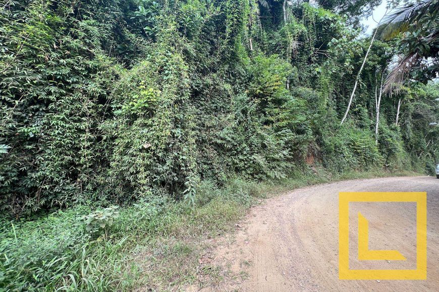 Terreno à venda, 6596 m² por R$ 650.000,00 - Fortaleza - Blumenau/SC